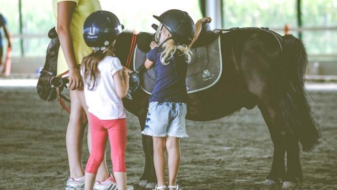 Centri estivi 2015 al Circolo Ippico Castellano